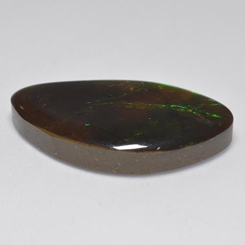 Ammolita multicolorido natural 20,84ct, forma extravagante, opaco