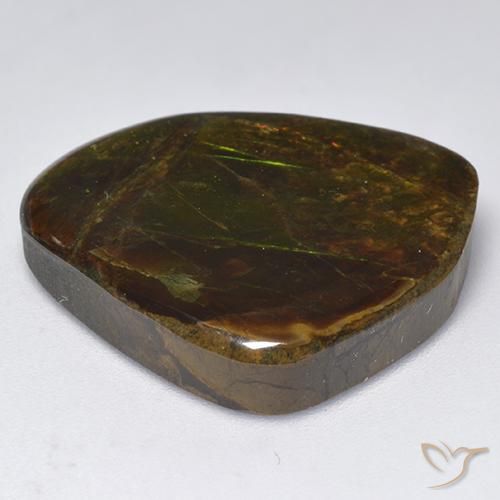 amolita Multicolorido Natural 18.32ct, Chique, Opaco