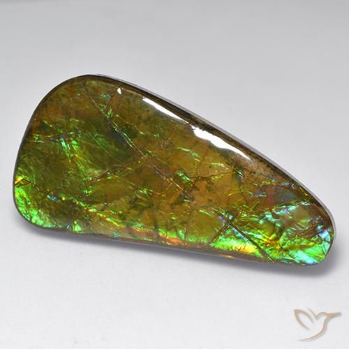 23.60ct Natural Multicolorido amolita, Chique, Opaco