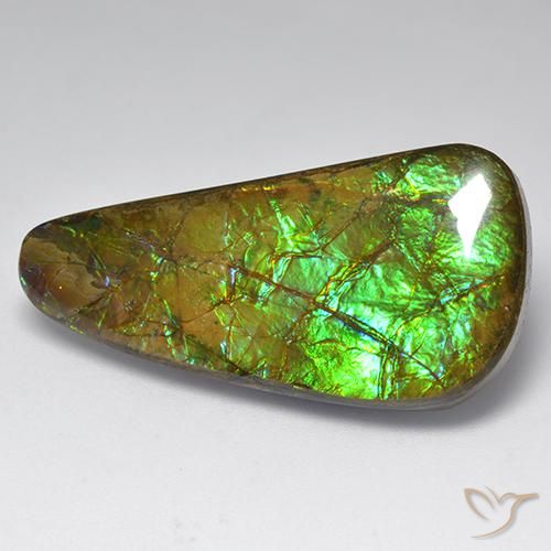 amolita Multicolorido Natural 23.60ct, Chique, Opaco