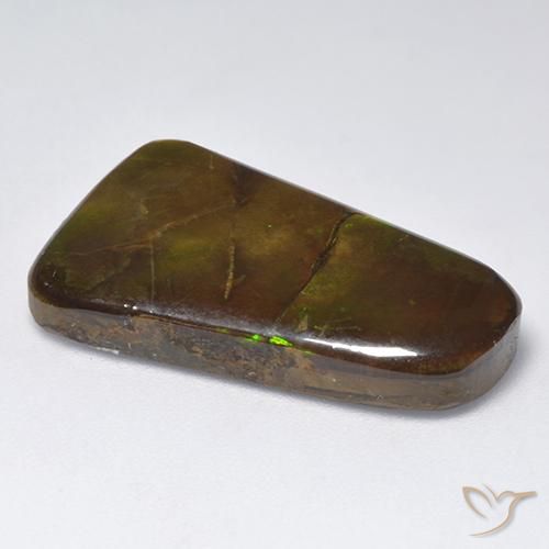 amolita Multicolorido Natural 18.48ct, Chique, Opaco