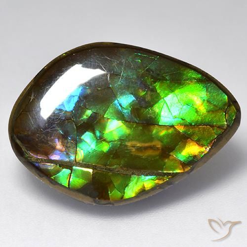 13.64ct Natural Multicolorido amolita, Chique, Opaco