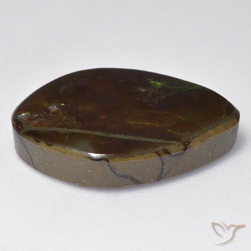 amolita Multicolorido Natural 13.64ct, Chique, Opaco