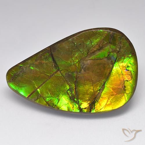 amolita Multicolorido Natural 23.14ct, Chique, Opaco