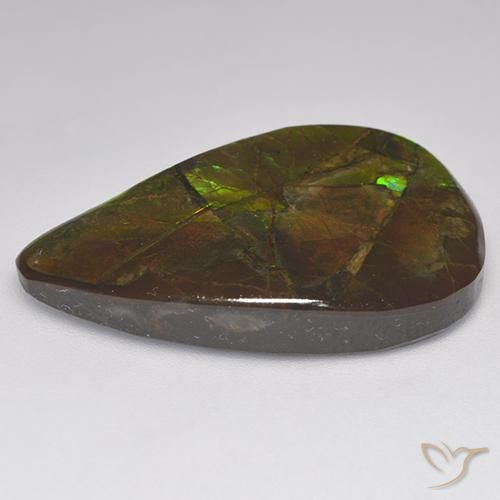 amolita Multicolorido Natural 23.14ct, Chique, Opaco