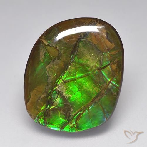 19.23ct Natural Multicolorido amolita, Chique, Opaco
