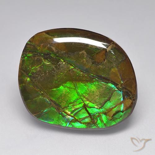 amolita Multicolorido Natural 19.23ct, Chique, Opaco