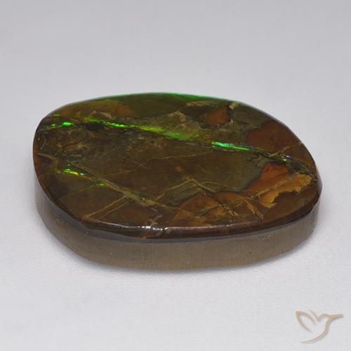 amolita Multicolorido Natural 19.23ct, Chique, Opaco