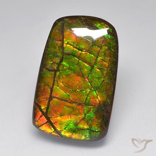 15.22ct Natural Multicolorido amolita, Chique, Opaco