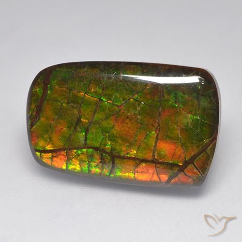 amolita Multicolorido Natural 15.22ct, Chique, Opaco