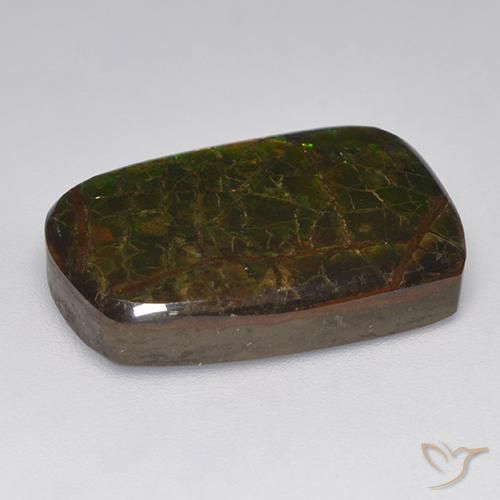 amolita Multicolorido Natural 15.22ct, Chique, Opaco