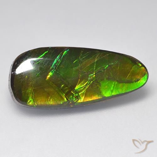 9.58ct Natural Multicolorido amolita, Chique, Opaco