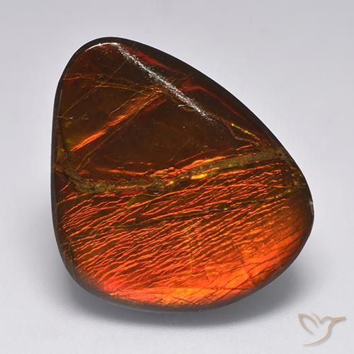 22.11ct Natural Multicolorido amolita, Chique, Opaco