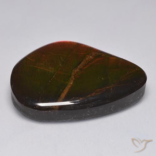amolita Multicolorido Natural 22.11ct, Chique, Opaco