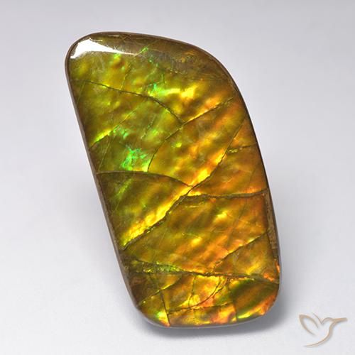 23.24ct Natural Multicolorido amolita, Chique, Opaco