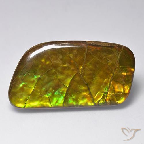 amolita Multicolorido Natural 23.24ct, Chique, Opaco