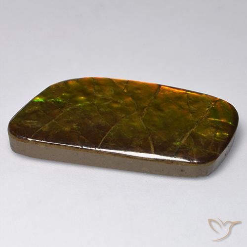 amolita Multicolorido Natural 23.24ct, Chique, Opaco