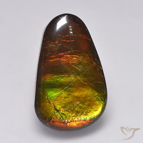 12.85ct Natural Multicolorido amolita, Chique, Opaco