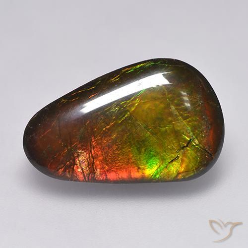 amolita Multicolorido Natural 12.85ct, Chique, Opaco
