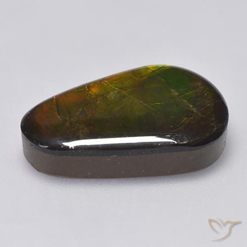 amolita Multicolorido Natural 12.85ct, Chique, Opaco