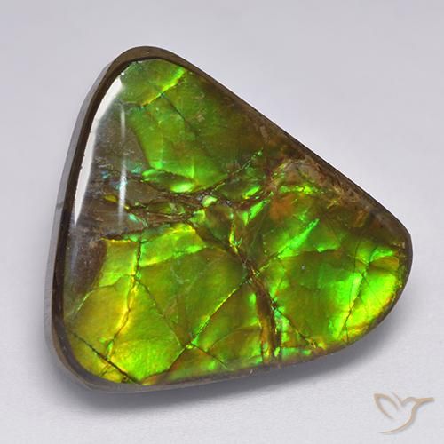 17.90ct Natural Multicolorido amolita, Chique, Opaco