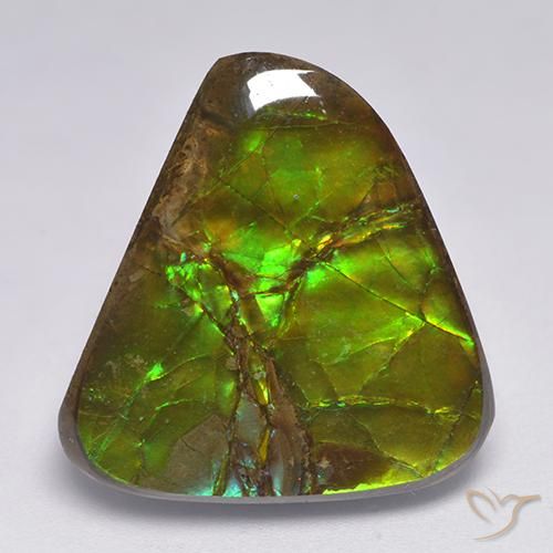 amolita Multicolorido Natural 17.90ct, Chique, Opaco