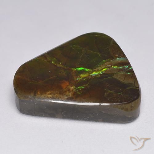 amolita Multicolorido Natural 17.90ct, Chique, Opaco