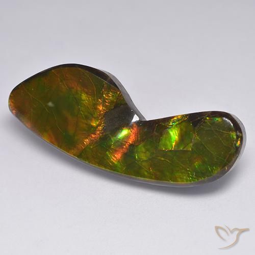 24.54ct Natural Multicolorido amolita, Chique, Opaco