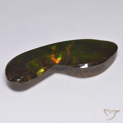 amolita Multicolorido Natural 24.54ct, Chique, Opaco