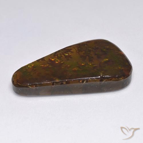 amolita Multicolorido Natural 18.34ct, Chique, Opaco