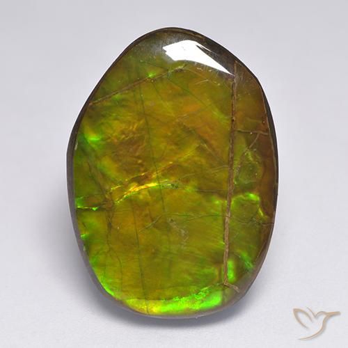 20.63ct Natural Multicolorido amolita, Chique, Opaco