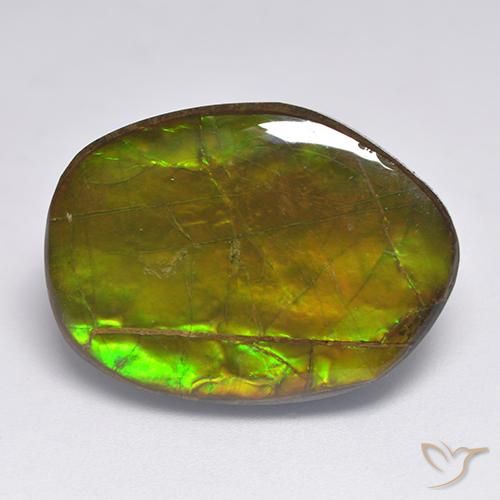 amolita Multicolorido Natural 20.63ct, Chique, Opaco