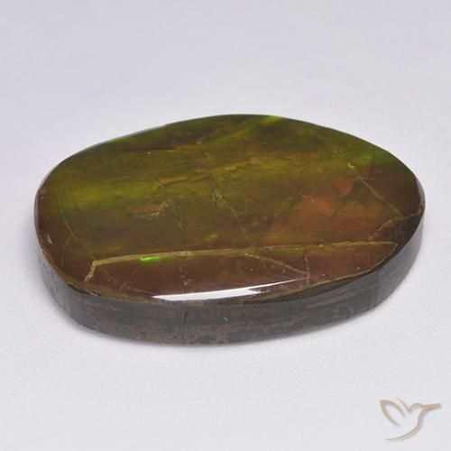 amolita Multicolorido Natural 20.63ct, Chique, Opaco