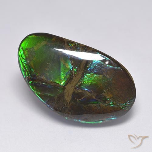 18.50ct Natural Multicolorido amolita, Chique, Opaco