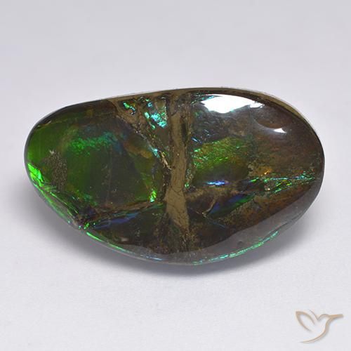 amolita Multicolorido Natural 18.50ct, Chique, Opaco