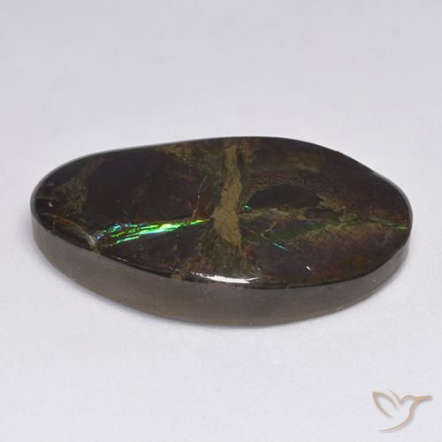 amolita Multicolorido Natural 18.50ct, Chique, Opaco