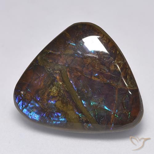 14.06ct Natural Multicolorido amolita, Trilhão, Opaco