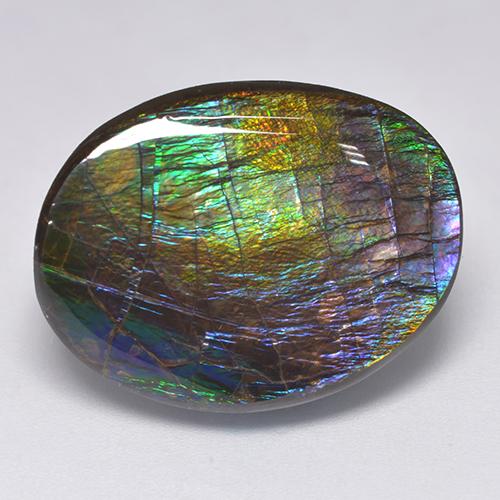 Ammolita multicolorido natural 19,39ct, forma extravagante, opaco