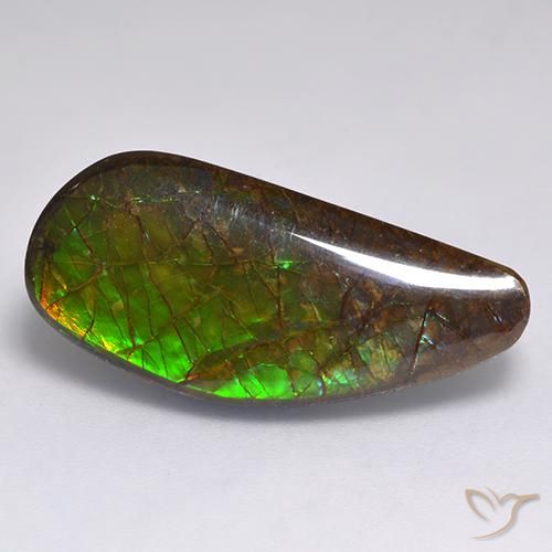 13.19ct Natural Multicolorido amolita, Chique, Opaco