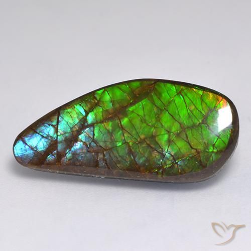 amolita Multicolorido Natural 13.19ct, Chique, Opaco