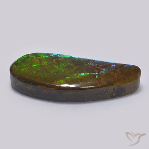 amolita Multicolorido Natural 13.19ct, Chique, Opaco