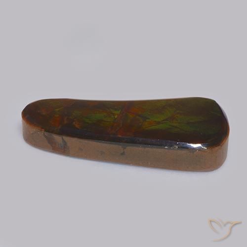 amolita Multicolorido Natural 11.58ct, Chique, Opaco