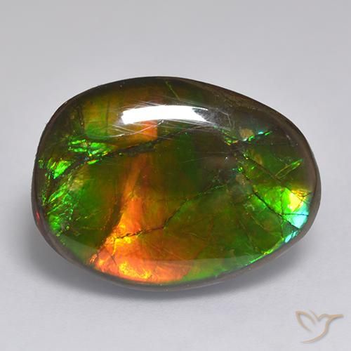 14.86ct Natural Multicolorido amolita, Chique, Opaco