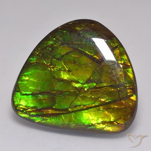 amolita Multicolorido Natural 20.62ct, Chique, Opaco