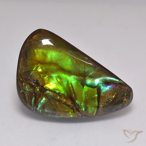 19.60ct Natural Multicolorido amolita, Chique, Opaco
