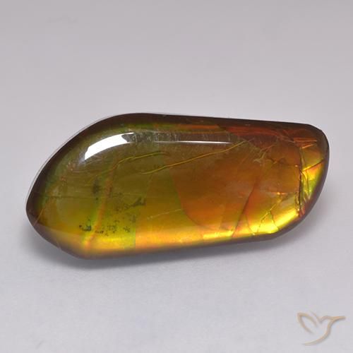 13.43ct Natural Multicolorido amolita, Chique, Opaco