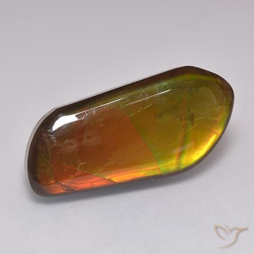 amolita Multicolorido Natural 13.43ct, Chique, Opaco
