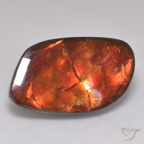 20.30ct Natural Multicolorido amolita, Chique, Opaco