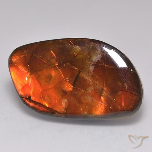 amolita Multicolorido Natural 20.30ct, Chique, Opaco