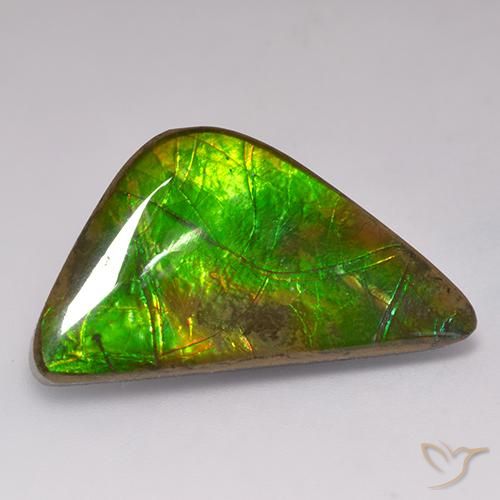 amolita Multicolorido Natural 17.71ct, Chique, Opaco